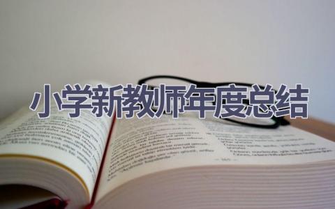 小学新教师年度总结范文(19篇）