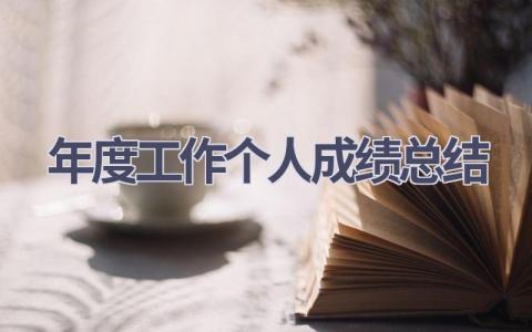 年度工作个人成绩总结范文(20篇）