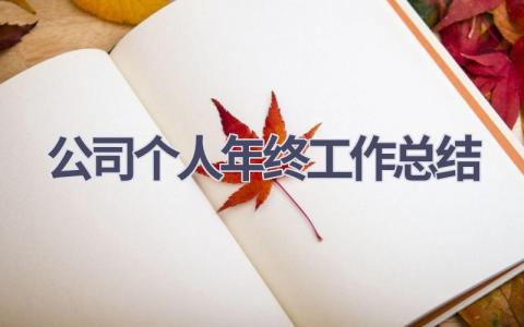 公司个人年终工作总结范文(17篇）