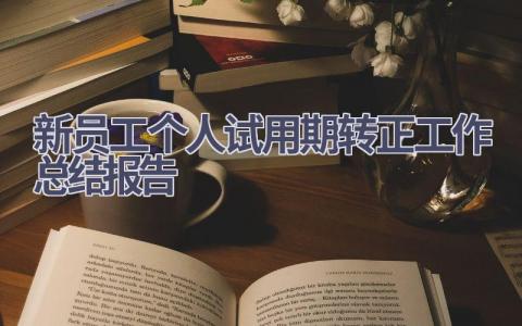 新员工个人试用期转正工作总结报告范文(6篇）