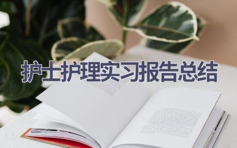 护士护理实习报告总结范文(13篇）