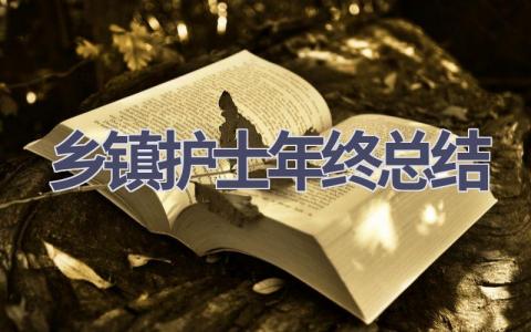 乡镇护士年终总结范文(11篇）