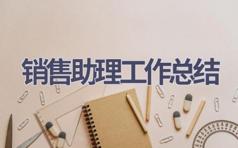 销售助理工作总结范文(18篇）