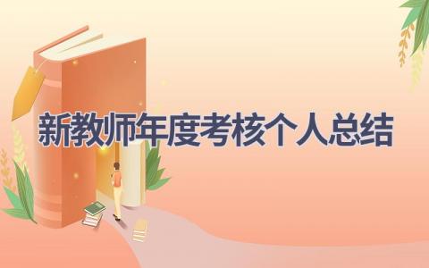 新教师年度考核个人总结范文(20篇）