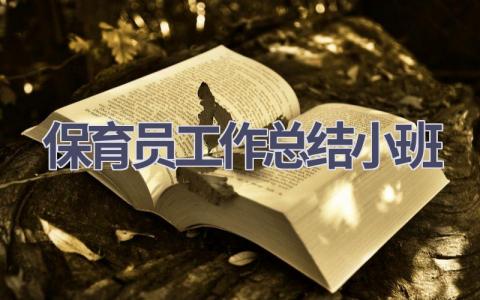 保育员工作总结小班范文(18篇）