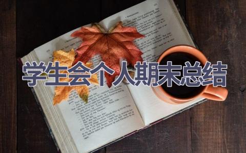 学生会个人期末总结范文(19篇）