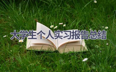 大学生个人实习报告总结范文(19篇）