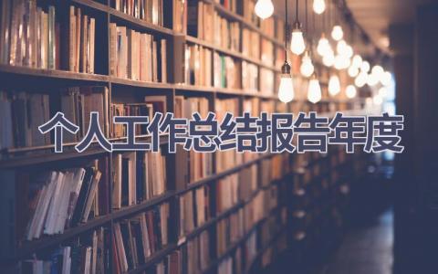 个人工作总结报告年度(19篇）