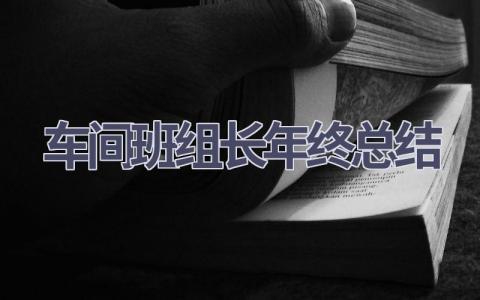 车间班组长年终总结(17篇）