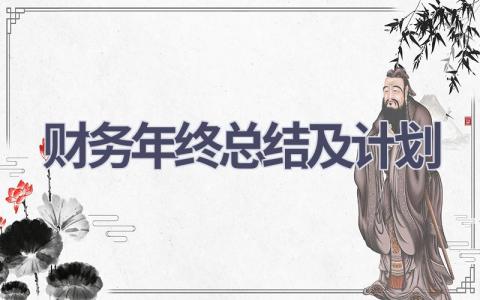 2023财务年终总结及计划(8篇）