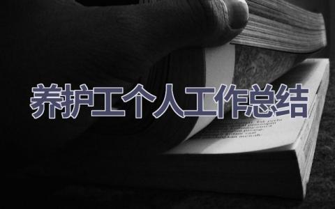 养护工个人工作总结(11篇）