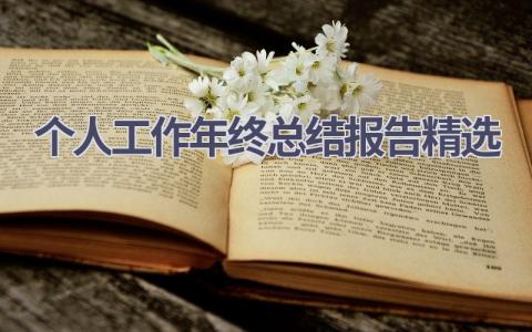 个人工作年终总结报告精选(14篇）