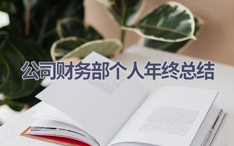 公司财务部个人年终总结(5篇）