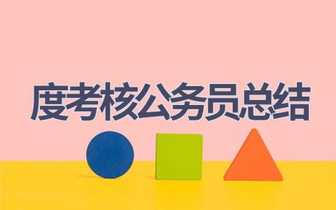 2023年度考核公务员总结(9篇）