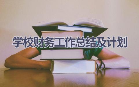 学校财务工作总结及计划(16篇）