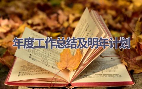 年度工作总结及明年计划(17篇）