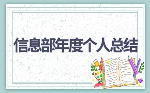 信息部年度个人总结(9篇）