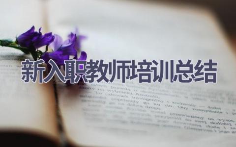 新入职教师培训总结(20篇）