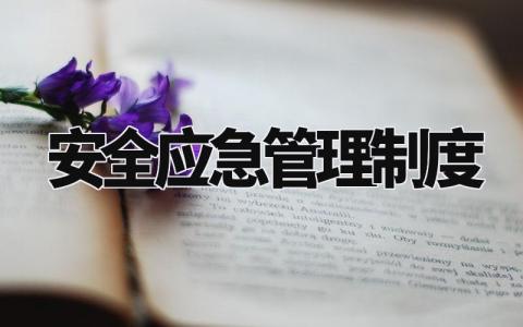 安全应急管理制度大全 应急规章制度的内容 (8篇）