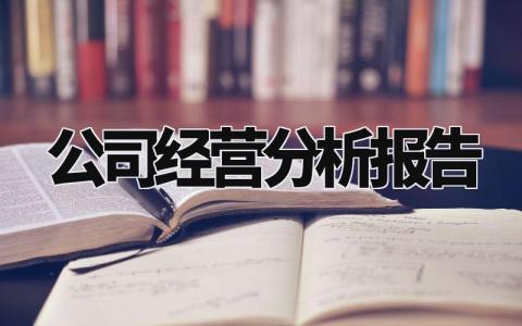 公司经营分析报告模板 公司经营分析报告范文