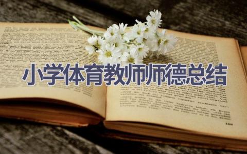 小学体育教师师德总结(6篇）