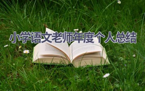 小学语文老师年度个人总结(13篇）