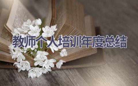 教师个人培训年度总结(18篇）