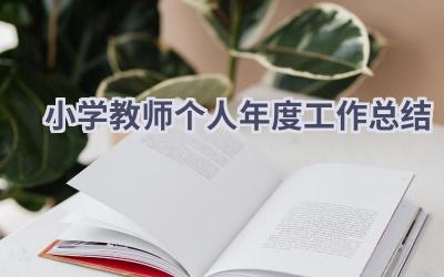 2024小学教师个人年度工作总结(17篇）