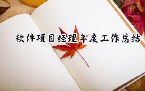 软件项目经理年度工作总结(17篇）