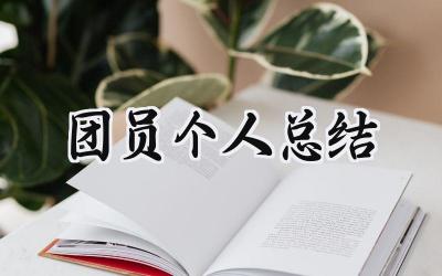 团员个人总结(7篇）