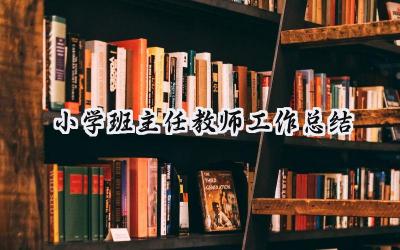 小学班主任教师工作总结2024(18篇）