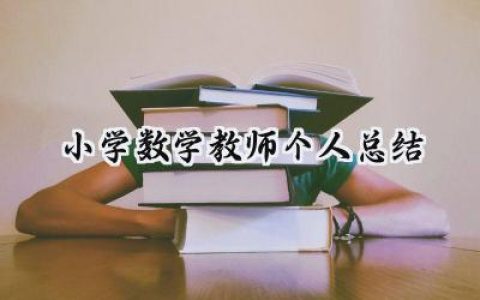 小学数学教师个人总结(17篇）