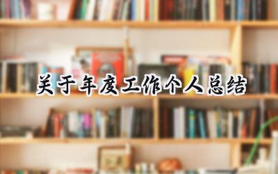 关于年度工作个人总结(11篇）