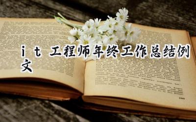 it工程师年终工作总结例文(14篇）